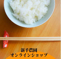 sh02.jpg
